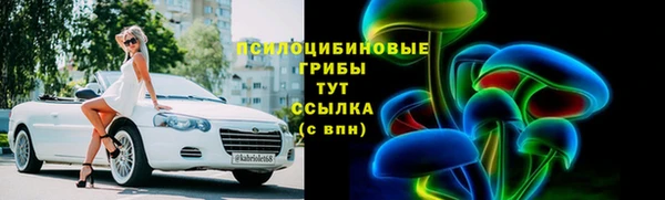 тгк Богородицк